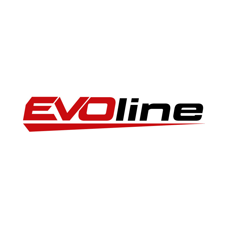 Двигатель бензиновый для генераторов EVOline Zongshen GB 210-E2