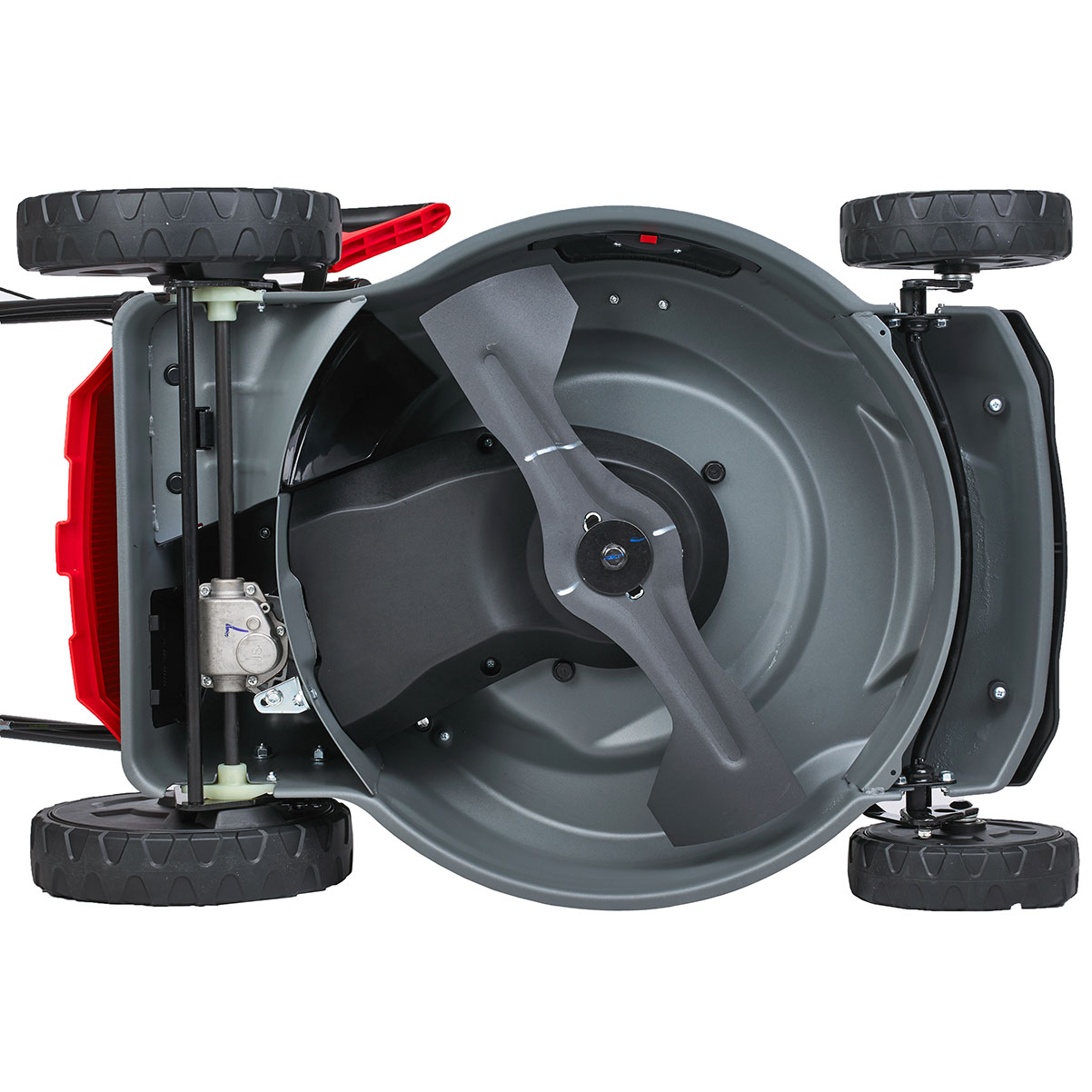Газонокосилка бензиновая самоходная EVOline LMG 48 CVH двигатель Honda