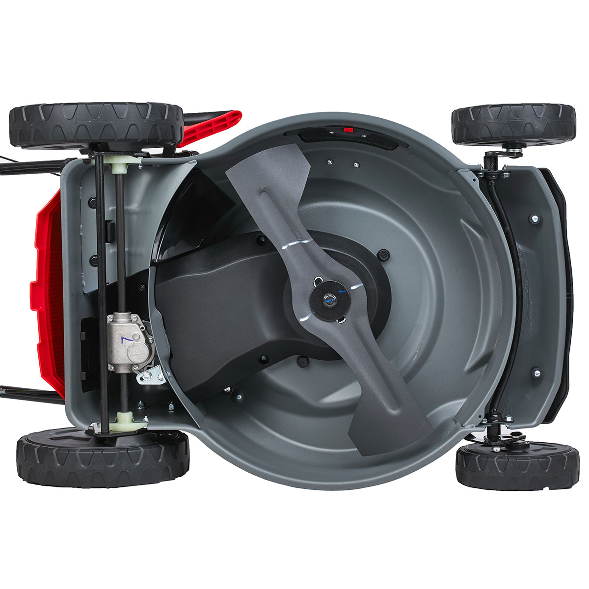 Газонокосилка бензиновая самоходная EVOline LMG 53 CVH двигатель Honda